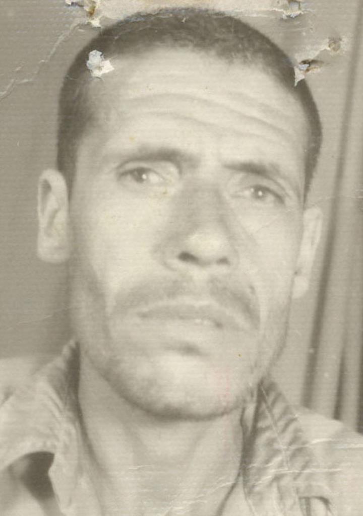 فاقد تصویر